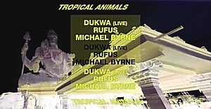 1.6K views | Tropical Animals on Reels | Facebook