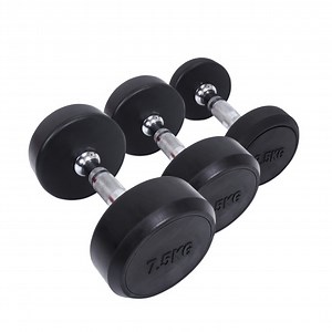 [Hot Item] Dumbbell with Metal Handles for Strength Training
