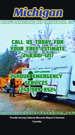 ❄️ 🏔 🌨 🪾🎄🌳🌲⛄️ 🎿 ❄️ #Michigan #TreeService 📞 Call Us Today For Your FREE Estimate! (248)881-1217 ⚠️ 24Hour Emergency Services (248)909-8524 🖥 www.dendyslandscaping.com "WE GO OUT ON A LIMB SO YOU DON'T HAVE TO" | Dendy's Landscaping and Tree Removal LLC
