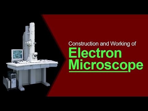 Construction and Working of Electron Microscope