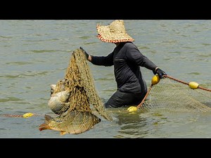 Amazing Fish Catch in Northern Iran Wetlands