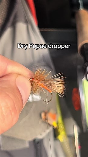 Using a pupae dropper is a great way to present a dry fly and a pupae. Pupae are the stage before larva mature into adults. Some claim they take on a gas pocket to bouy them to the surface. As they float towards the surface, trout pick them off. I have a size 14 october caddis as my dry fly with a 6” short trailer of 6X fluorocarbon tippet with a size 22 midge pupae. In heavy hatches ill match the dry and the pupa to the same kind of bug. In the late fall, the trout arent zoned into one oarticul