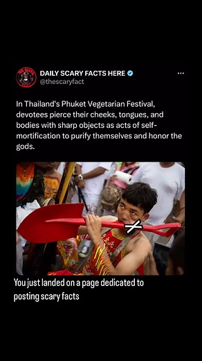 Thescaryfact ™ on Instagram: "The Phuket Vegetarian Festival, held annually in Thailand, is a nine-day Taoist celebration known for its dramatic rituals of self-mortification. Devotees, referred to as “Ma Song,” believe they are possessed by deities during the festival and perform acts of extreme physical endurance to purify themselves, ward off evil spirits, and bring good fortune to their community. One of the most striking rituals involves the piercing of cheeks, tongues, and other parts of t