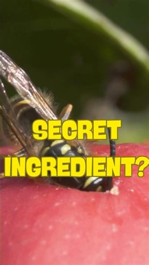 YOU’VE BEEN EATING THIS YOUR WHOLE LIFE… 🐝🚫