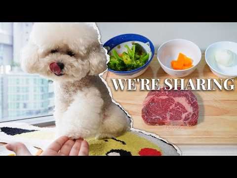 My Toy Poodle Eats What I Eat: A 4K Steak & Vegetables ASMR Feast for My Dog