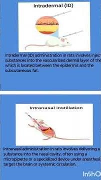 Routes of drug administration in animals #pharmcology