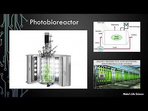 Photobioreactor _ Mechanism, Types, Applications & Limitations