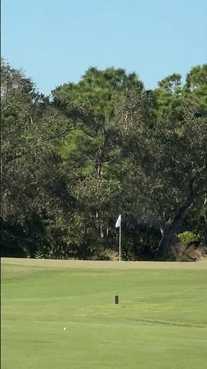 World No. 1 Launching a Long Iron.