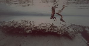 The Depths She'll Reach - Long Lead