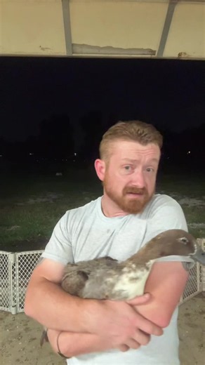 I can be insane AND need more ducks