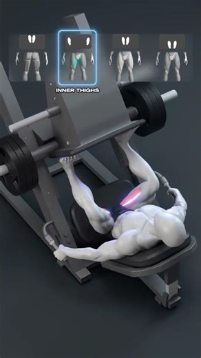 Leg Press Machine: Everything You NEED To Know