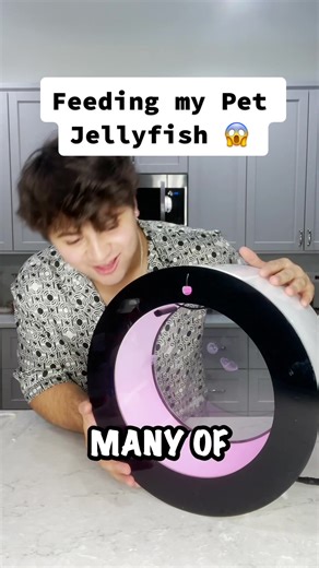 Feeding Tips for Pet Jellyfish - A Step-by-Step Guide