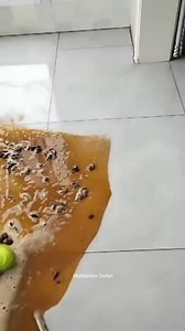 1.3M views · 10K reactions | Murkh logon ki 6 nishaniya !...