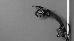 Robotic model demonstrates how flying geckos land on surface