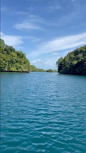 🇵🇼 Palau Rock Island Cruise Episode 124 #travel #visitpalau #palau #digitalnomad
