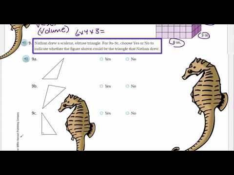 Go Math 5th Grade Chapter 11 Review Part 2