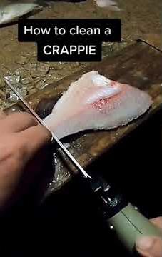 Step by Step - How to Fillet Crappie