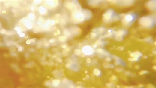 Amazon Jungle Survival: Discover the Strength of Wildlife in "Mysterious Amazon