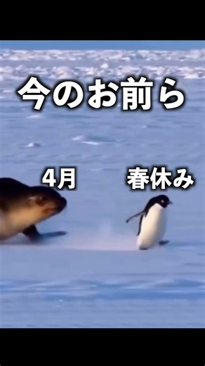 新卒社会人行ってらっしゃい👋