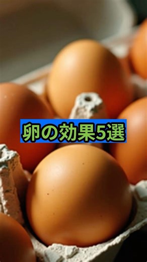 卵の効果5選