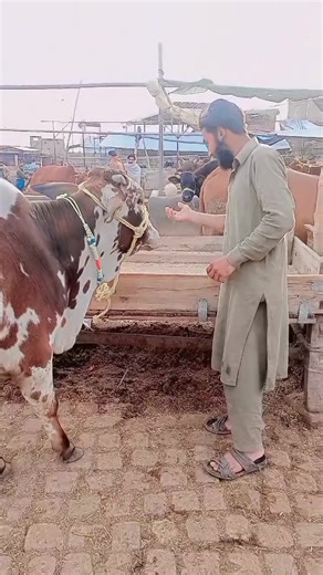 follow yi ka😔😔#koreanvideo99 #foryoupage