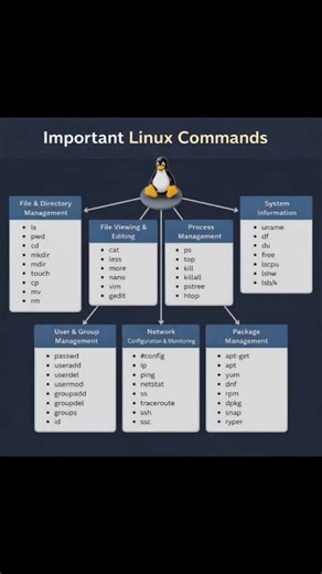 ‎المبرمج م/اسامة فاضل‎ on Instagram: "🚀 Essential Linux Commands Explained Master the most important Linux commands every developer, system administrator, and cybersecurity enthusiast should know. This short video presents a clean, categorized overview of Linux commands for file management, system monitoring, networking, user control, and package management — perfect for beginners and professionals alike. 📌 Whether you’re preparing for interviews, certifications, or daily Linux usage, this qui