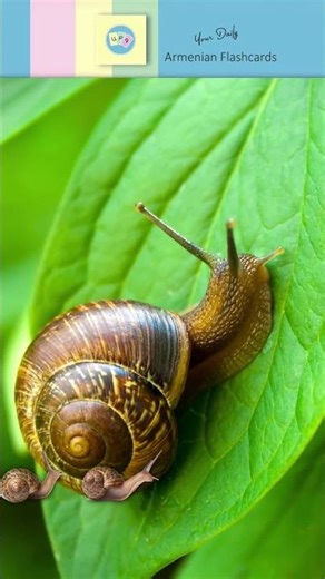 Խխունջ [ khkhunj ] – Snail | Խ, խ [ khə ] | Armenian ABC Reading Practice