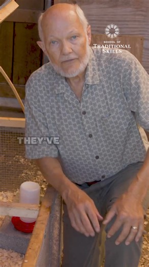 Harvey Ussery known as "the Chicken Man" has a lot of tricks up his sleeve when it comes to raising a flock! You can get access to all his insights in our class Backyard, Egg-Laying Chickens. You'll learn: 🐓 How to Set up the Brooder 🐓 How to Manage Chicks in a Brooder 🐓 Permanent Housing 🐓 Housing in a Mobile Shelter 🐓 The Improved Chicken Run 🐓 Manure Management 🐓 Feeding and Watering 🐓 Maximizing Natural Feeds 🐓 Cultivating Earthworms for Poultry Feed 🐓 Protecting the Flock from Pre