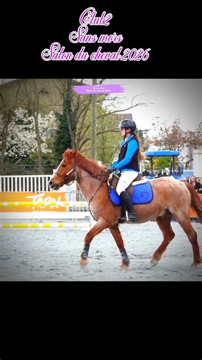 First Side-Pull Competition 🏅 at the Horse Show #horse #pony #showjumping #equestrian