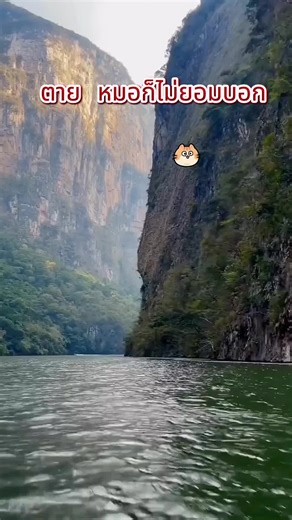 แชมพู OFSC: สระสะอาด ไม่มัน 3 วัน