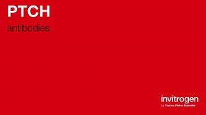 PTCH antibodies from Thermo Fisher Scientific