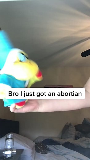 wait what