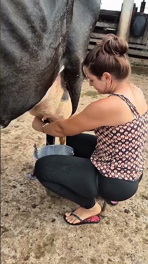 Hand Milking a Cow 🐄 | Real Farm Life Experience | Fresh Milk Extraction Satisfying Video