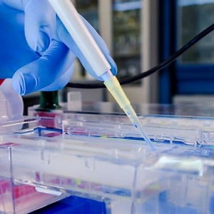 The most interesting scientific topics ▷➡️ Postposmo