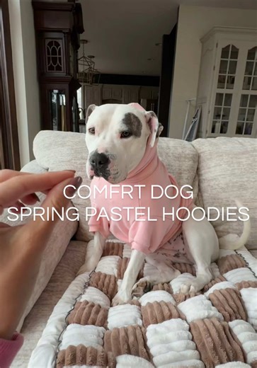 Adorable Comfrt Dog Hoodies for Spring