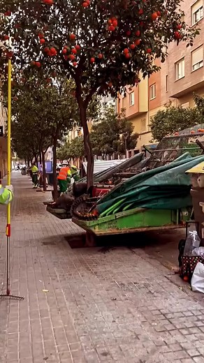 Green Garbage Truck Collecting Trash on Urban Street