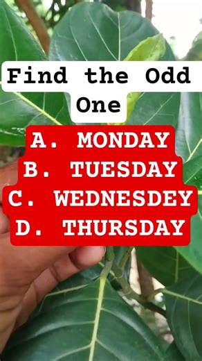 Brain Game:| Spot the Difference | Ep.10 #search #brainteaser #shorts