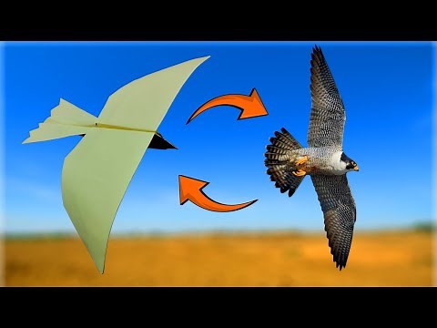 How to Make a Falcon Bird Origami