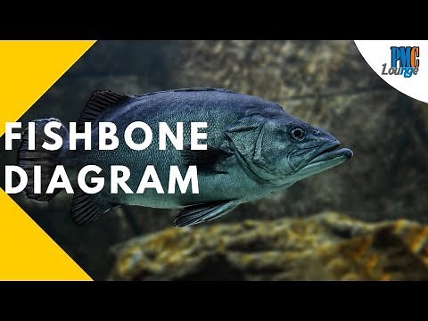 Fishbone Diagram | Cause and Effect | Ishikawa | Herringbone - Seven Basic Quality Tools