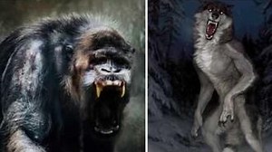 The Gugwe and The Dogman