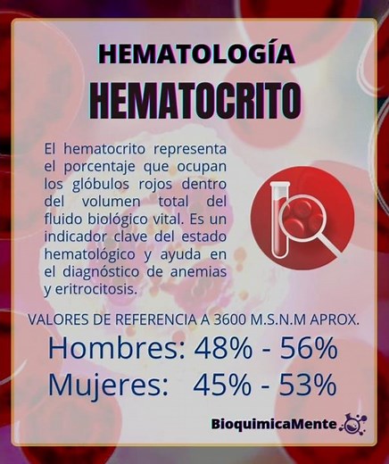 ¿Qué es el hematocrito? 🧪🩸
