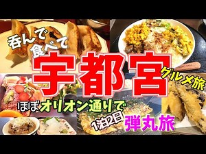 【宇都宮グルメ旅】弾丸1泊2日で呑み食べ歩き！!昼飲みが楽しすぎてつぶれるやーつ。