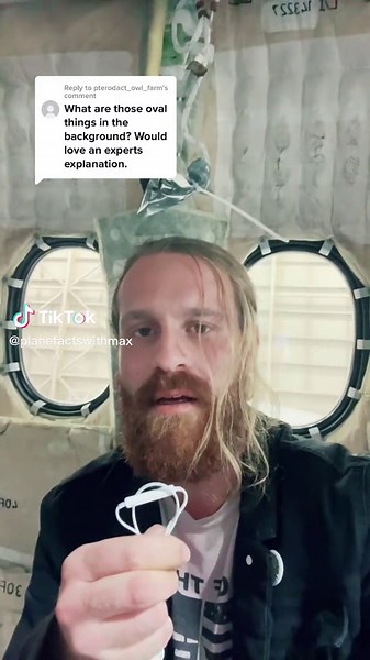 Airplane Windows Facts with Max