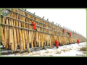 How 42 Million Tons of Waste Are Recycled Into Byproducts in Massive Factory Processing Lines