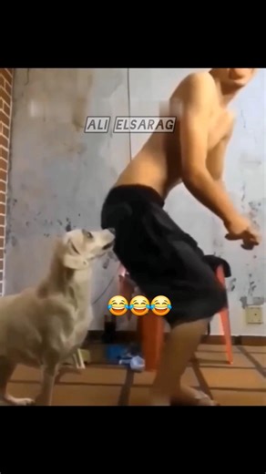 تعالي😂😂😂 #ali_elsarag #هتضحك #funny #funniestvideo #memes #ضحك #تحشيش #pets #funnymoment #funnycute
