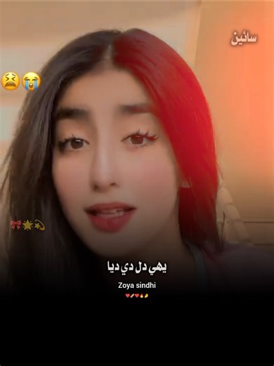 Sindhi Status Songs: Bewafa & DildilPakistan