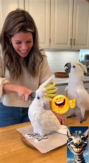 Funniest Animal Pranks Ever 😂🤣 #funnyshorts #funnyanimals #comedyshorts #viralshorts