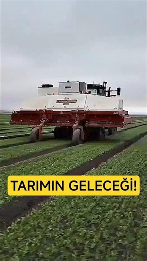 An Incredible Revolution in Agriculture: Laser-Powered Weed Removal Robot! 🤖