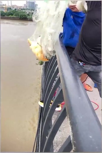 #fishing #fishinglife #foryoupage #fishtok #fyp (48) | Fang Nat