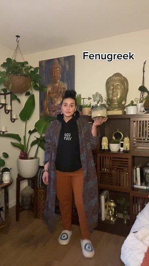 Just another magical herb to add to your collection! From stimulating the uterus to helping with digestive disorders 🗣️🗣️ Herbs that pair well with Fenugreek include peppermint and anise. You can try it in a tea. Warning fenugreek is known to change your scent ! People say it makes you smell like syrup! As always do your own research before trying any new herbs!!!! Peace out Holla at us for all of your spiritual, herbal and funky needs 🖖🏼🖖🏼🖖🏼🖖🏼 #herbs #herbalism #herbalmedicine #holist